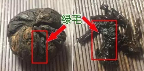 <u><a href='http://www.puer10000.com/puerzhishi/32854.html' target='_blank'>普洱<u><a href='http://www.puer10000.com/puerzhishi/100997.html' target='_blank'>茶</a></u></a></u>