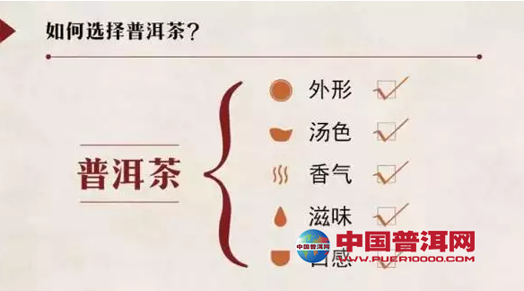 <u><a href='http://www.puer10000.com/puerzhishi/32854.html' target='_blank'>ն</a></u>