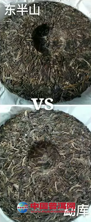 普洱茶