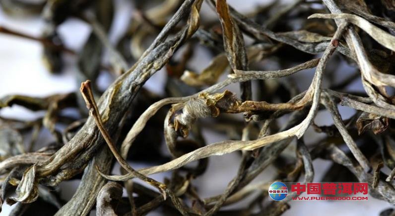 普洱茶