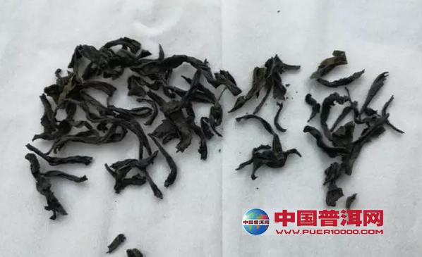 <u><a href='http://www.puer10000.com/puerzhishi/32854.html' target='_blank'>ն</a></u>