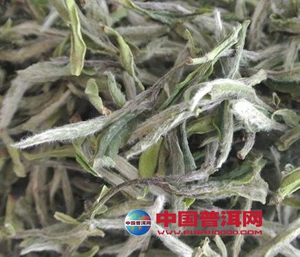 <u><a href='http://www.puer10000.com/puerzhishi/32854.html' target='_blank'>普洱<u><a href='http://www.puer10000.com/puerzhishi/100997.html' target='_blank'>茶</a></u></a></u>