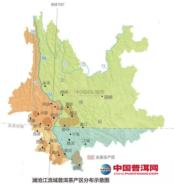普洱茶