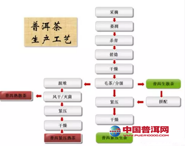 普洱茶