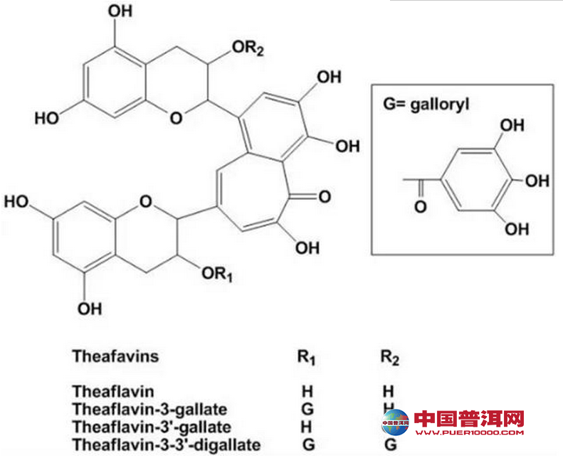 普洱茶