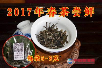 2017年3月第1周普洱茶免费茶样