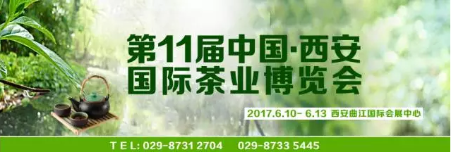普洱茶