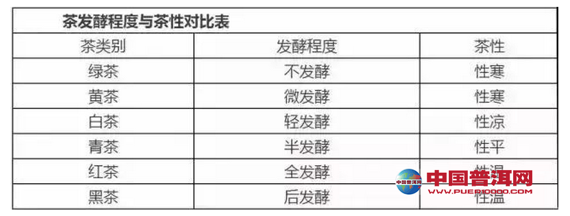 普洱茶