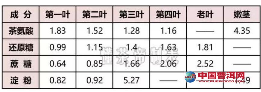 <u><a href='http://www.puer10000.com/puerzhishi/32854.html' target='_blank'>ն</a></u>