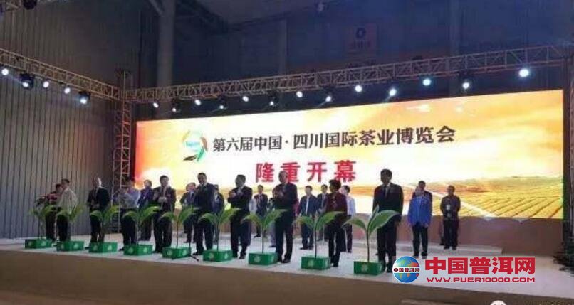 普洱茶