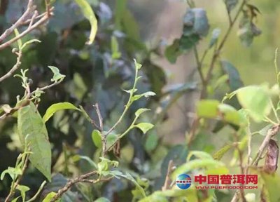 <b>赽׻᲻ᷢѿ</b>