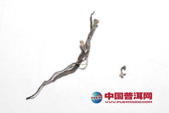 <u><a href='http://www.puer10000.com/puerzhishi/32854.html' target='_blank'>ն</a></u>