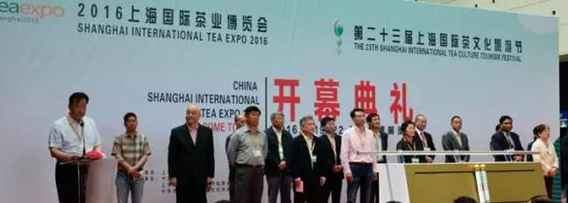 普洱茶