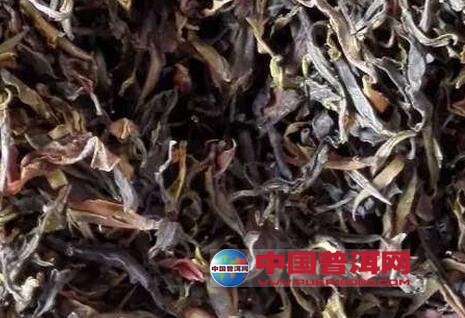 普洱茶