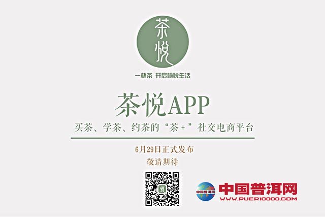 茶悦app.jpg