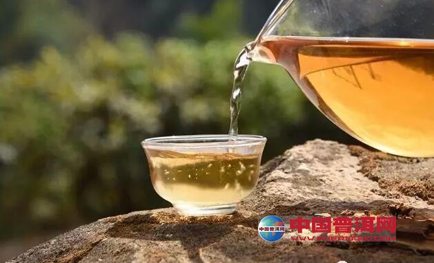 普洱茶