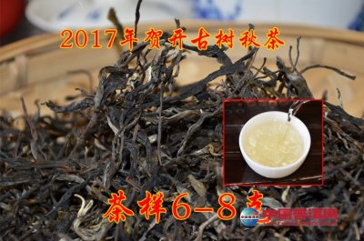 2017年7月第2周普洱茶免费茶样