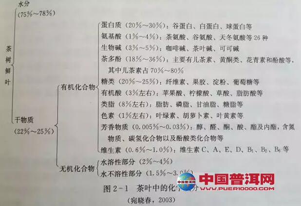 <u><a href='http://www.puer10000.com/puerzhishi/32854.html' target='_blank'>普洱茶</a></u>