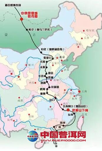 普洱茶
