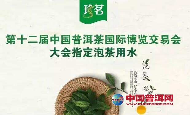 普洱茶