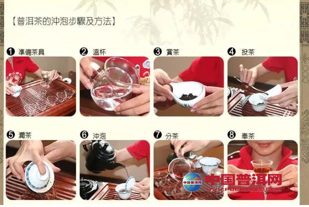 初学者泡茶七步骤-茶艺文化-普洱茶文化-中国普洱网—普洱茶官方网站