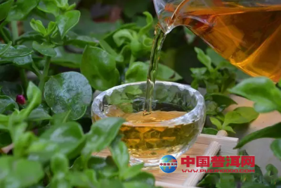 2017年中国十大普洱茶品牌榜单