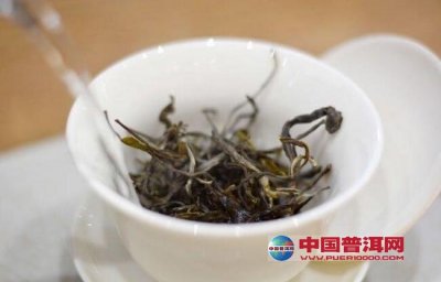 冲泡普洱茶技法之生茶要转熟茶