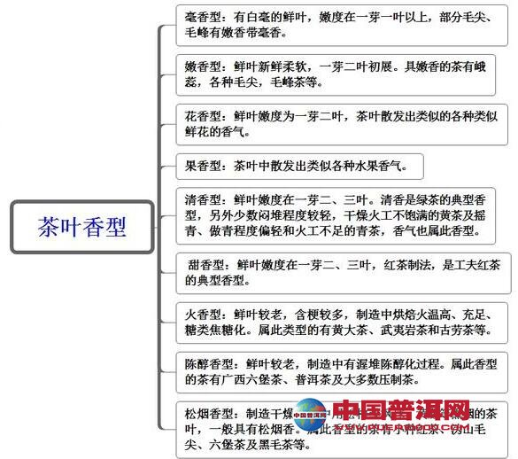 普洱茶