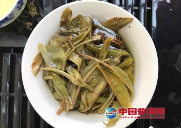 普洱茶