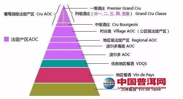 普洱茶