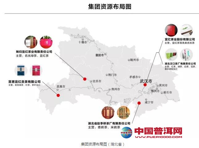 普洱茶