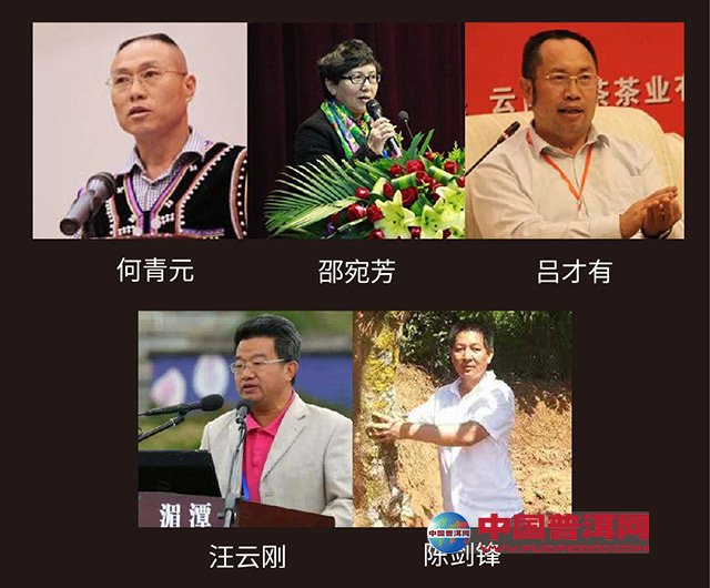 勐海普洱茶可持续发展高峰论坛 (1)