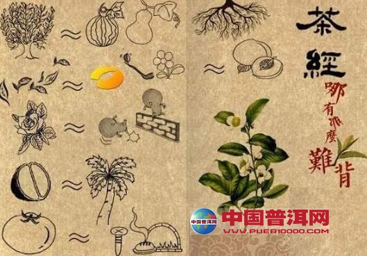 <u><a href='http://www.puer10000.com/puerzhishi/32854.html' target='_blank'>ն</a></u>