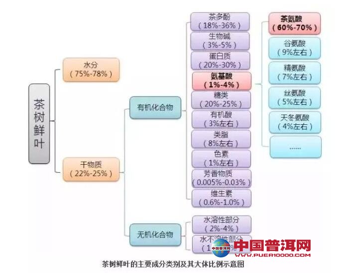 普洱茶