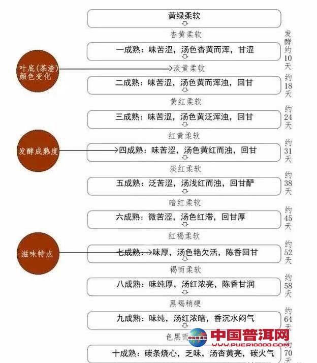 <u><a href='http://www.puer10000.com/puerzhishi/32854.html' target='_blank'>ն</a></u>