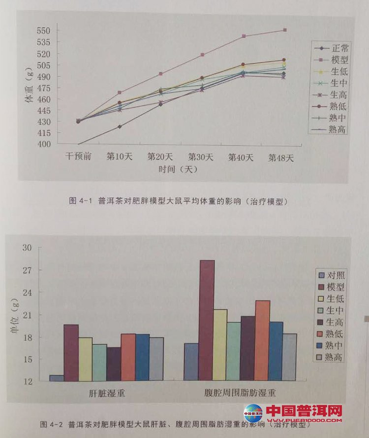 普洱茶
