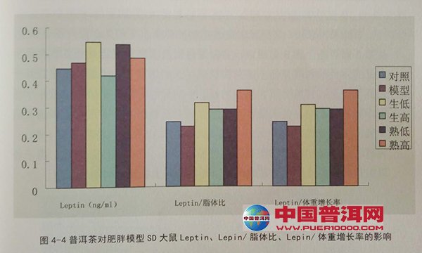 普洱茶