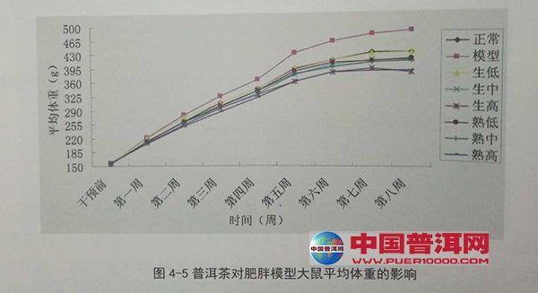 普洱茶