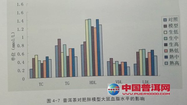 普洱茶