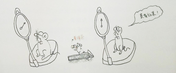 普洱茶