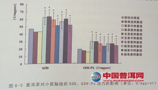 普洱茶