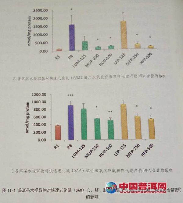 普洱茶