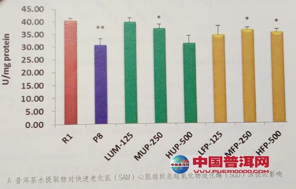 普洱茶