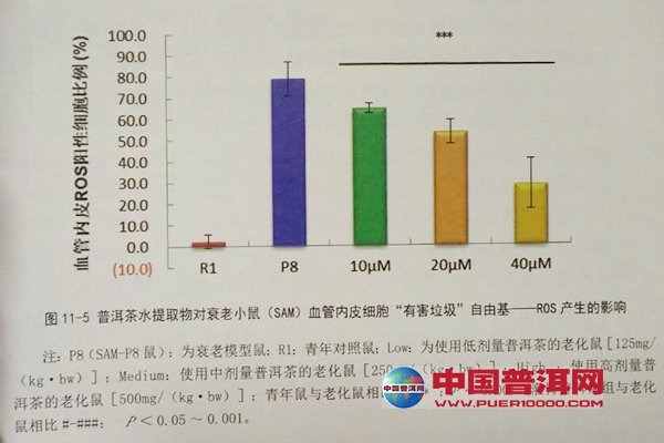 普洱茶