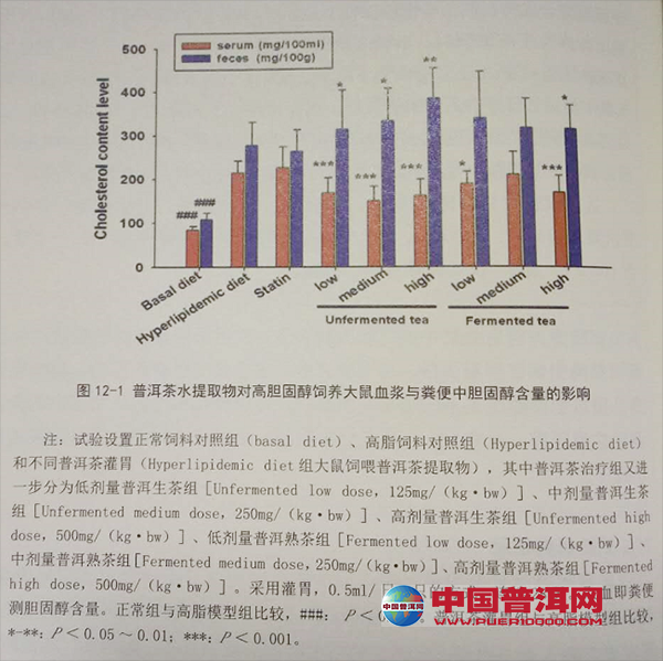 普洱茶