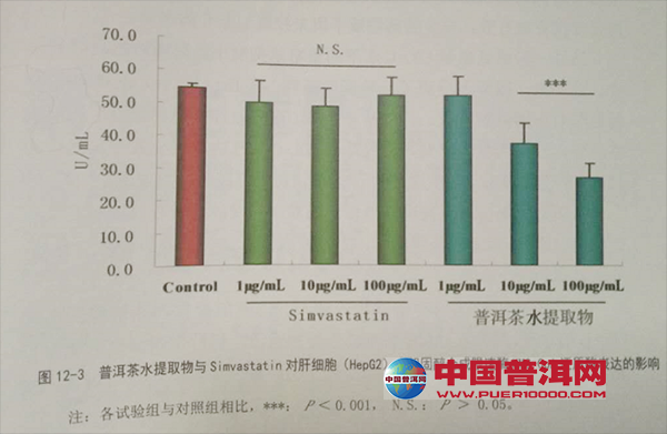 普洱茶