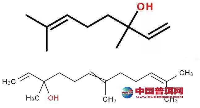 普洱茶