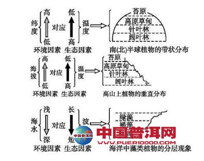 <u><a href='http://www.puer10000.com/puerzhishi/32854.html' target='_blank'>普洱茶</a></u>