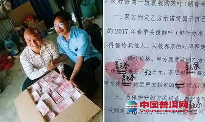 <u><a href='http://www.puer10000.com/puerzhishi/32854.html' target='_blank'>普洱茶</a></u>