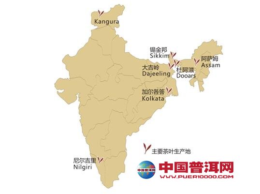 普洱茶